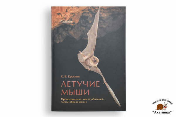 Летучие мыши. Происхождение, места обитания, тайны образа жизни. С. В. Крускоп