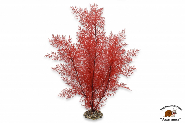 Красное растение #17